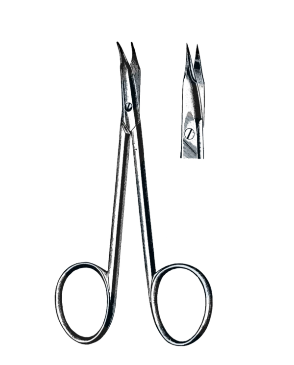 Stevens Tenotomy Scissor Curved