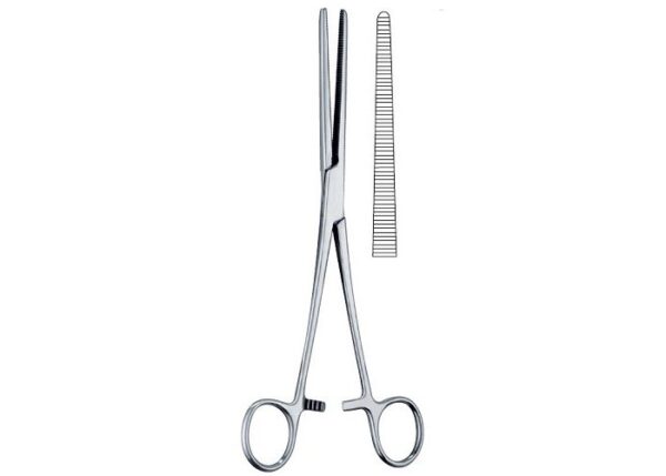 Pean Forcep